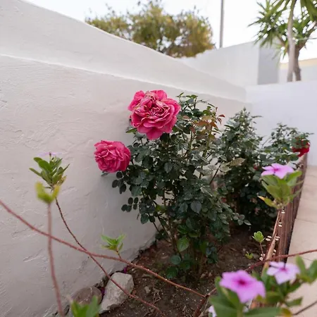 Guest house Casa Blue Sarantis Faliraki